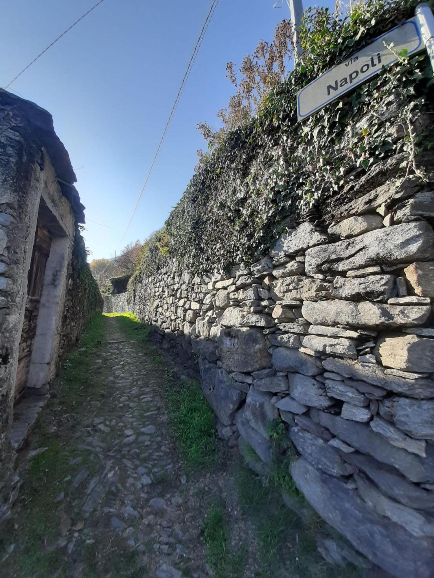 Residenza Le Camelie Διαμέρισμα Oggebio Εξωτερικό φωτογραφία