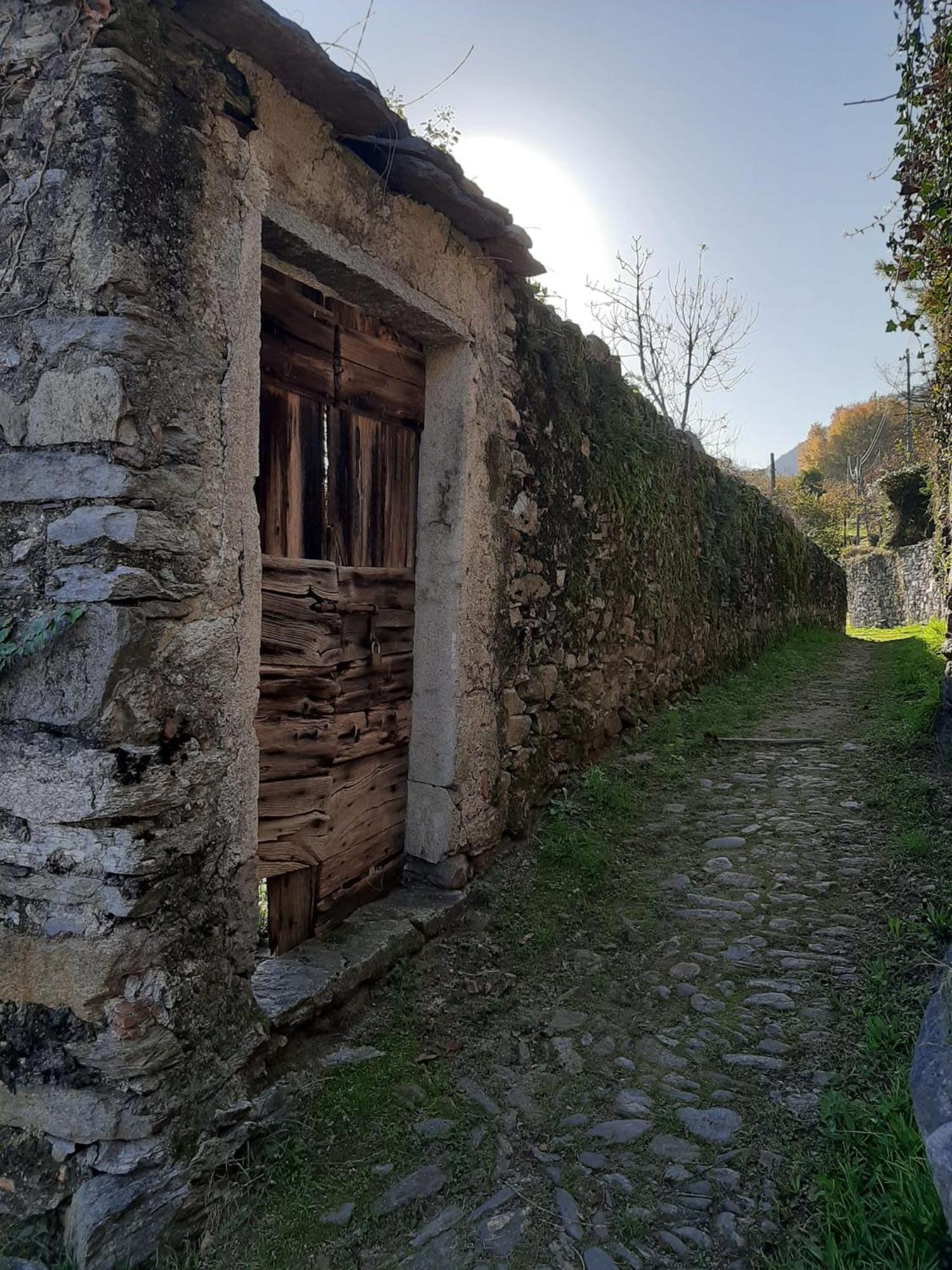 Residenza Le Camelie Διαμέρισμα Oggebio Εξωτερικό φωτογραφία